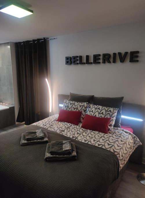 Bellerive Love Suite Magnifique Vue Lac アンフィオン・レ・バン エクステリア 写真